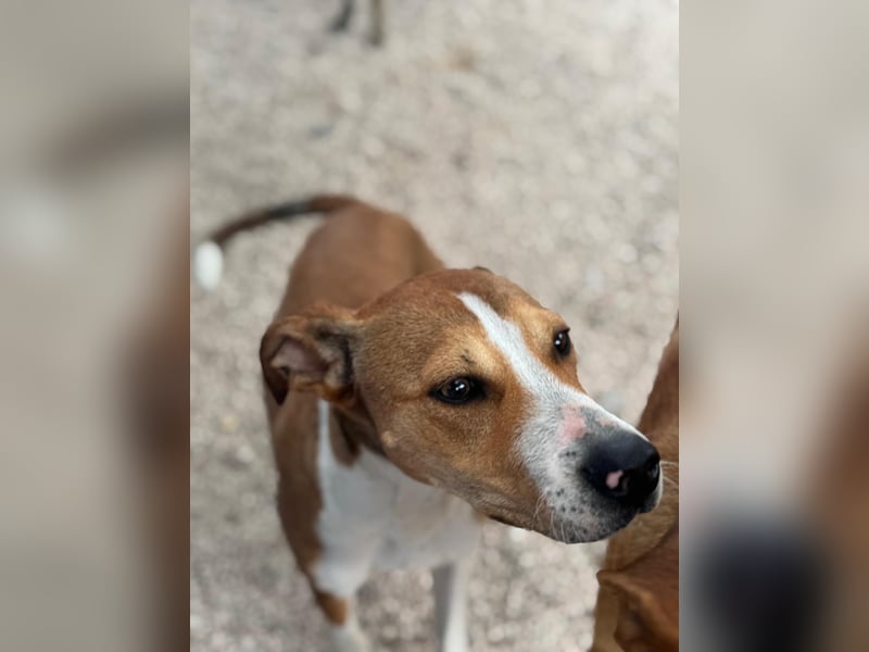 Marley, freundlich und sozial