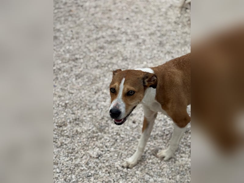 Marley, freundlich und sozial