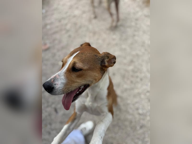 Marley, freundlich und sozial