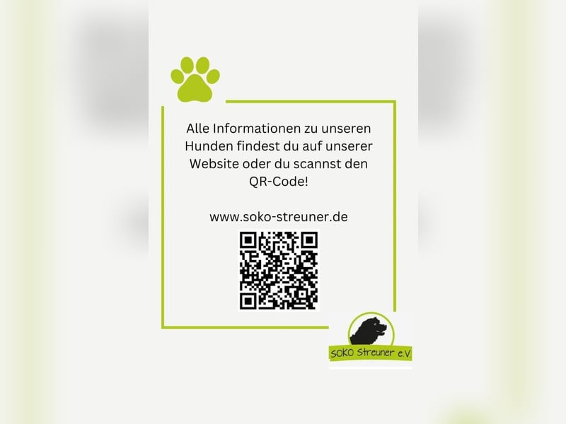 AXEL, ca 50cm sucht seine Würstchengeber
