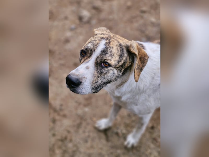 AXEL, ca 50cm sucht seine Würstchengeber