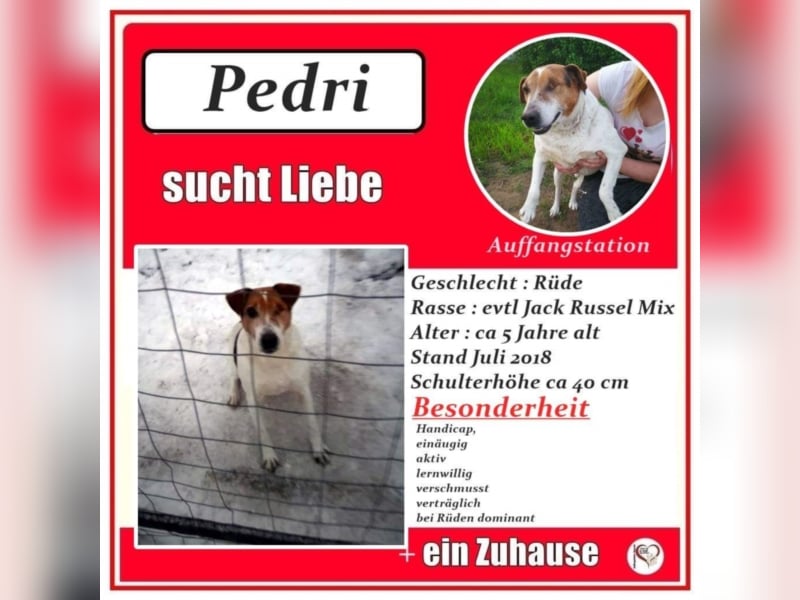 Pedri