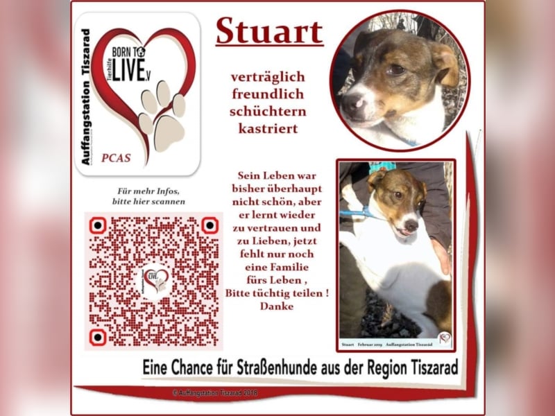 Stuart
