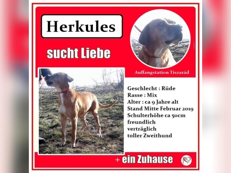 Hercules