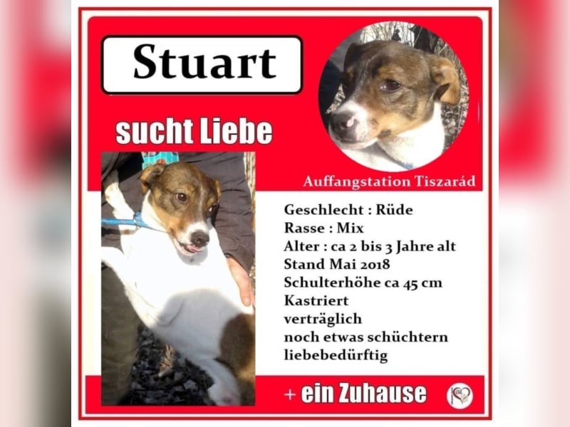 Stuart