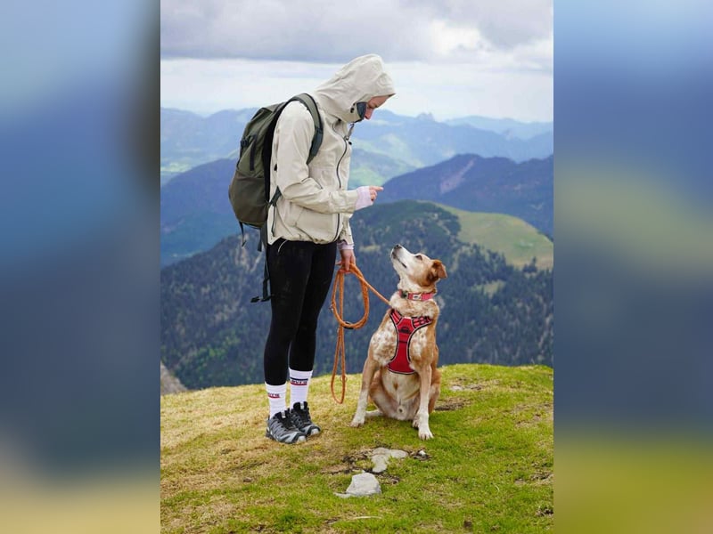 Michel - Ein treuer Begleiter, der die Nähe zu Menschen liebt