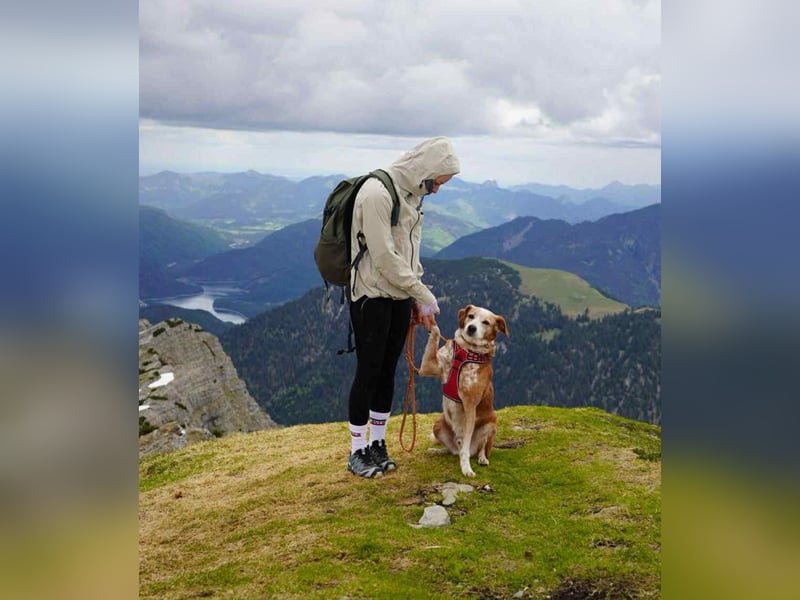 Michel - Ein treuer Begleiter, der die Nähe zu Menschen liebt