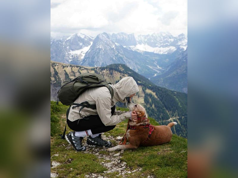 Michel - Ein treuer Begleiter, der die Nähe zu Menschen liebt