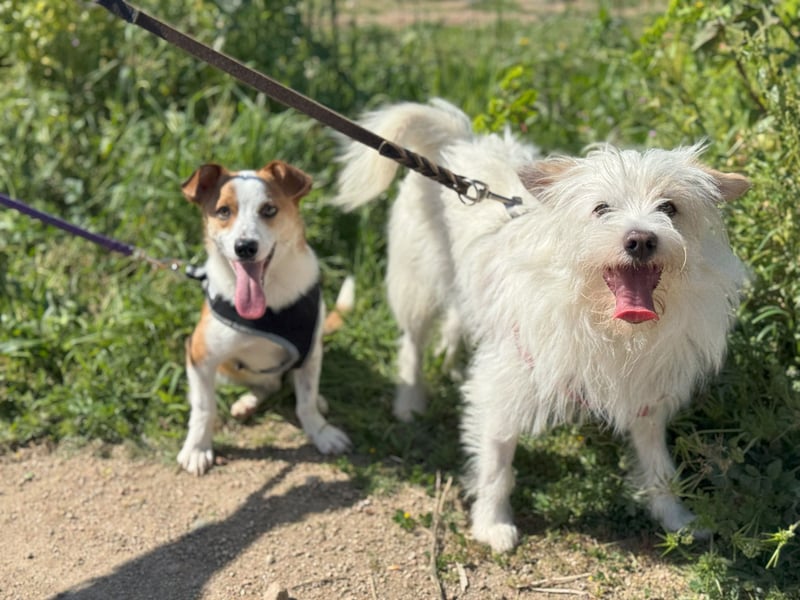 Larry und Jack: 2 wie Pech und Schwefel