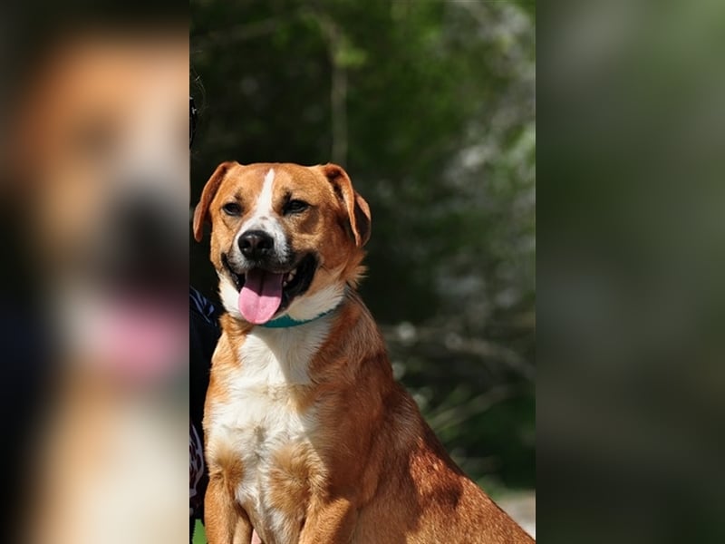 Gulliver liebt Ausflüge in die Natur