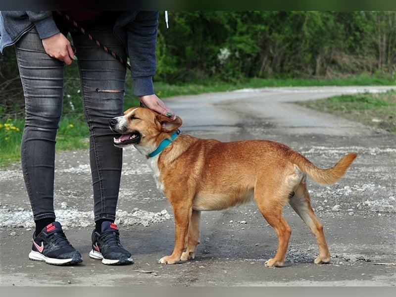 Gulliver liebt Ausflüge in die Natur