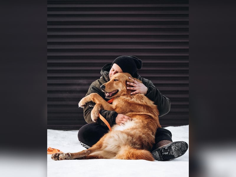 Total verschmuster Traumhund Yeti❤️mit Handicap sucht Menschen mit Herz