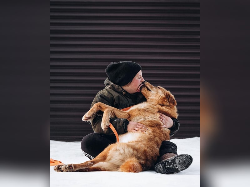 Total verschmuster Traumhund Yeti❤️mit Handicap sucht Menschen mit Herz