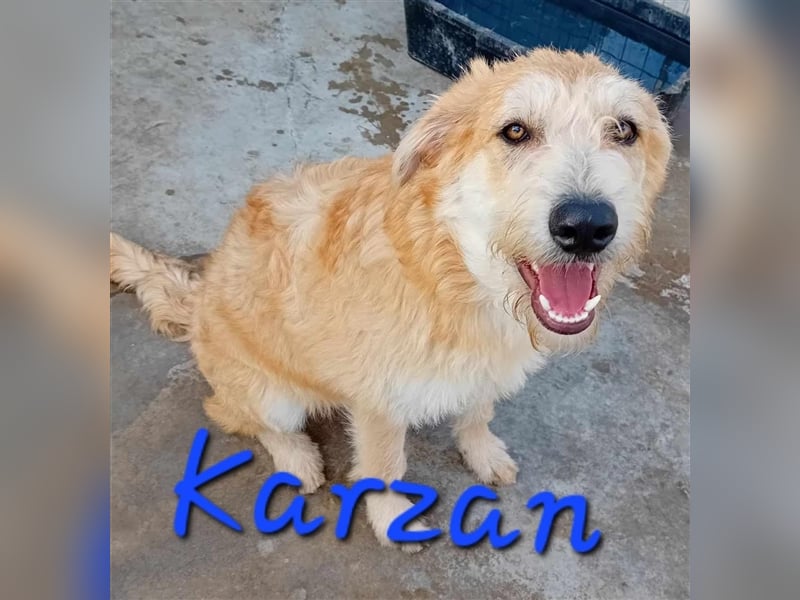 Unser treuer Karzan