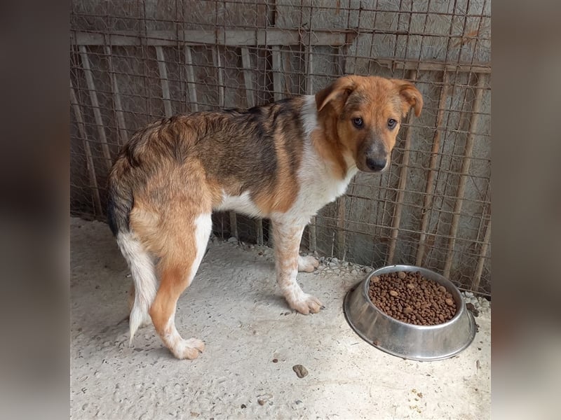 Unser süßer Lucky