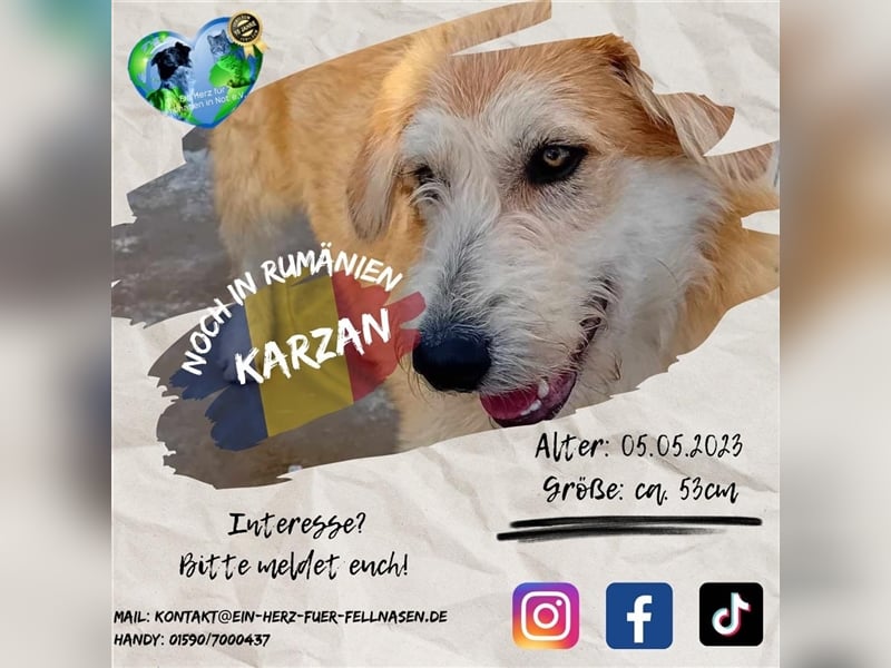 Unser treuer Karzan