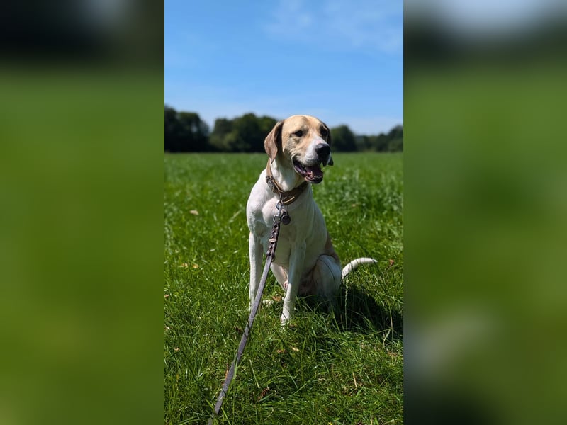 Balu 4 Jahre