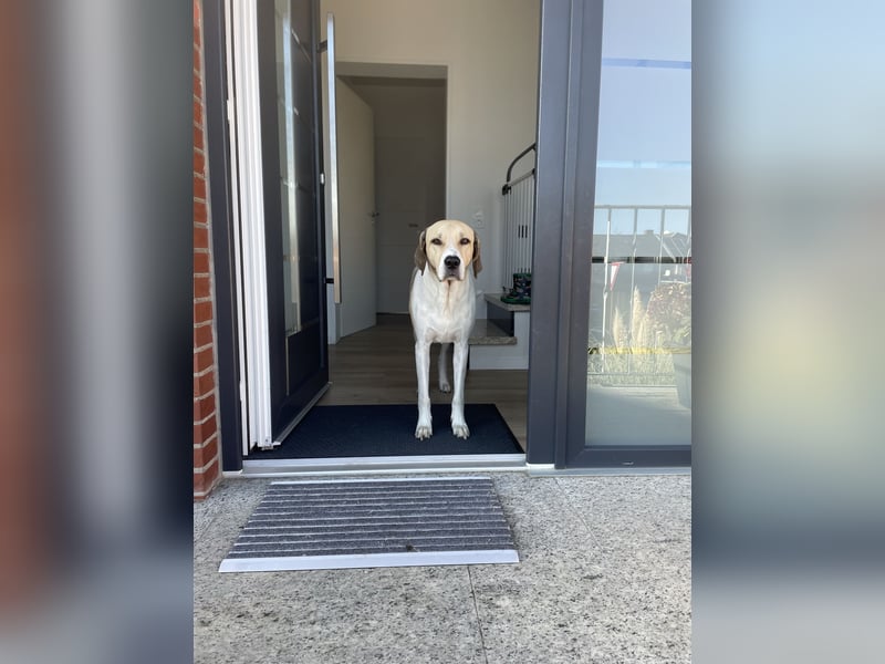 Balu 4 Jahre