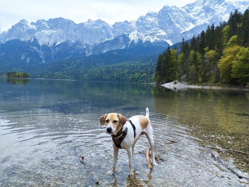 Balu 4 Jahre