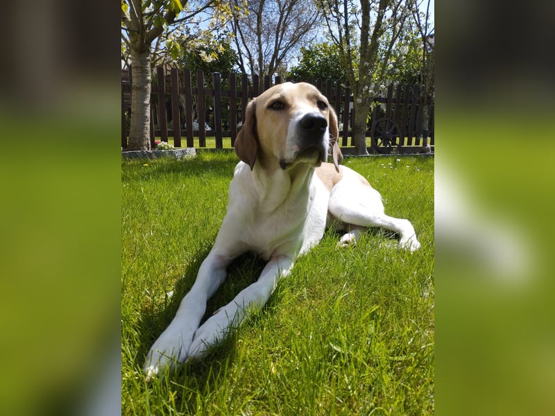 Balu 4 Jahre