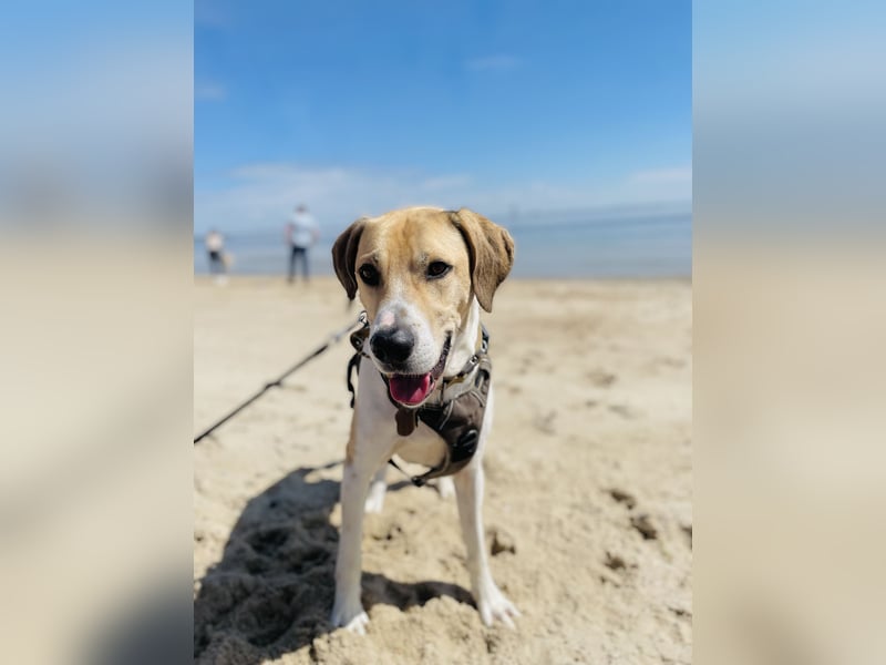 Balu 4 Jahre