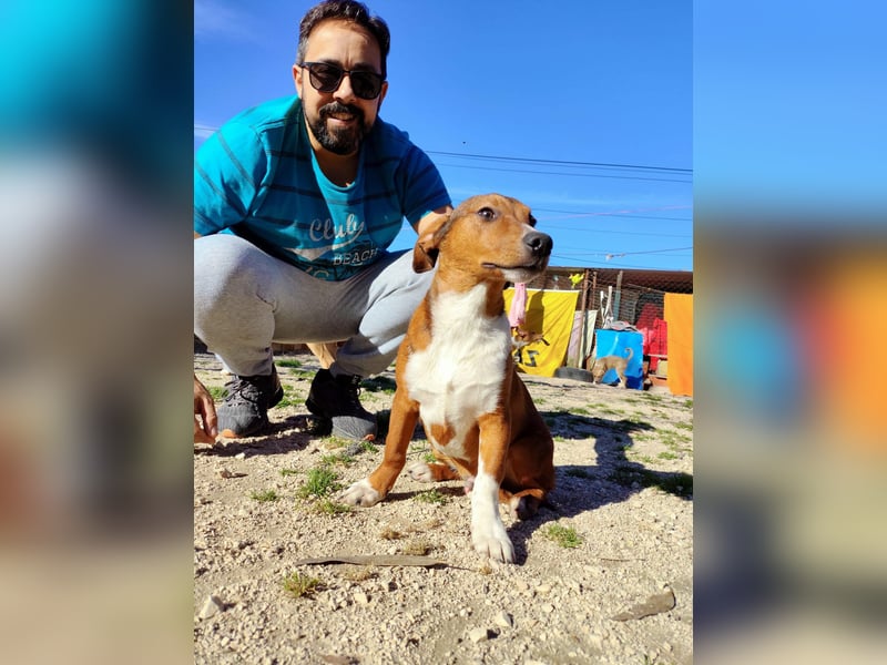 Hundekind JAX sucht seine Herzensmenschen