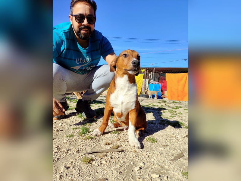 Hundekind JAX sucht seine Herzensmenschen