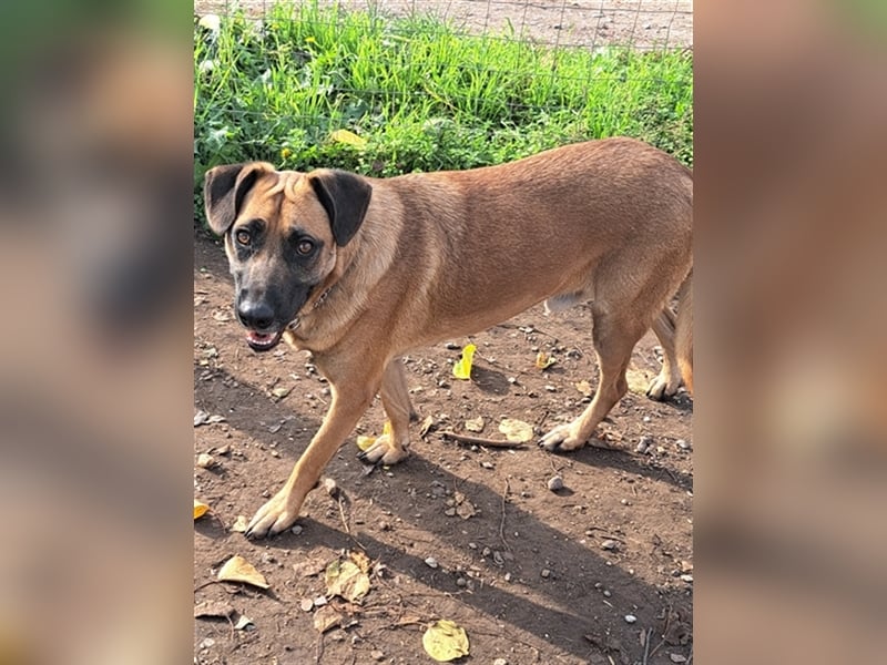 Charlie ( * 02.2021 ) sucht seine eigene Familie