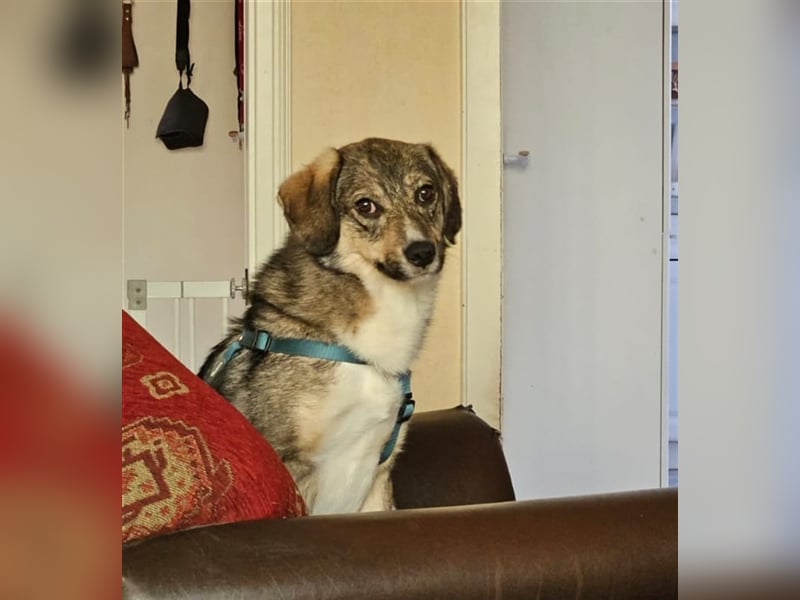 Benny