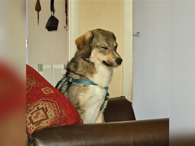 Benny