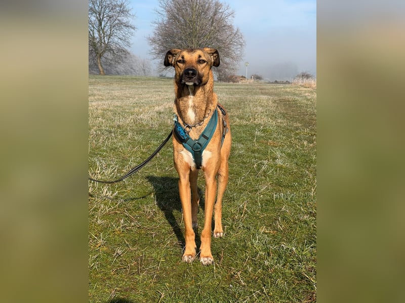 Unsicherer Otto