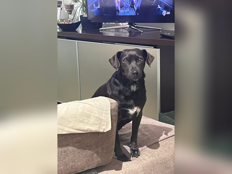 Remi