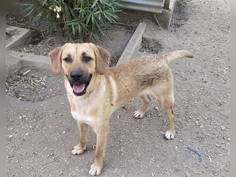 Diego