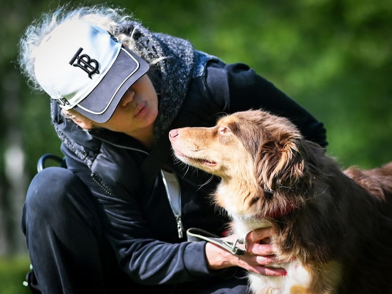 Menschenbezogener Charly sucht sein Glück