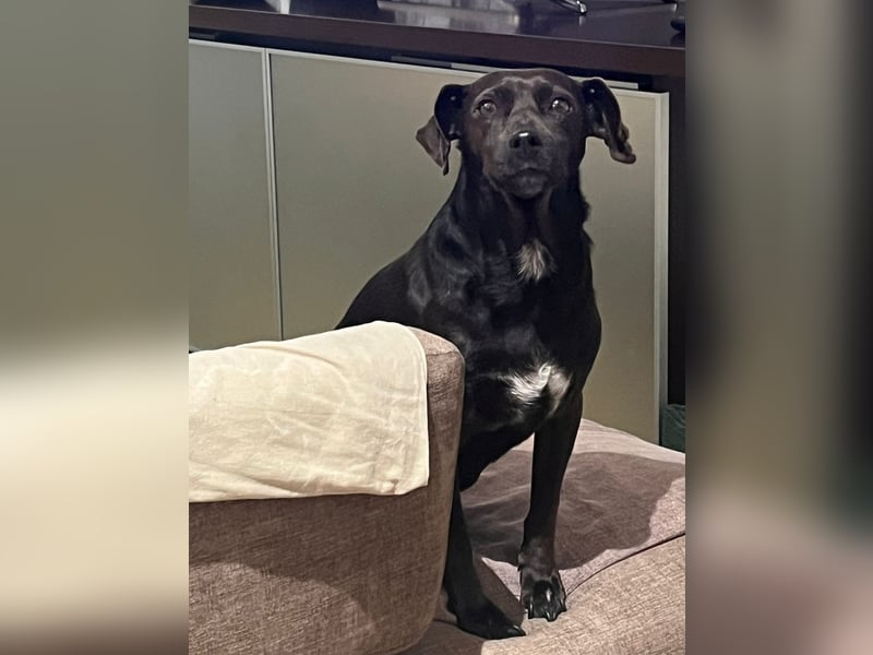 Remi