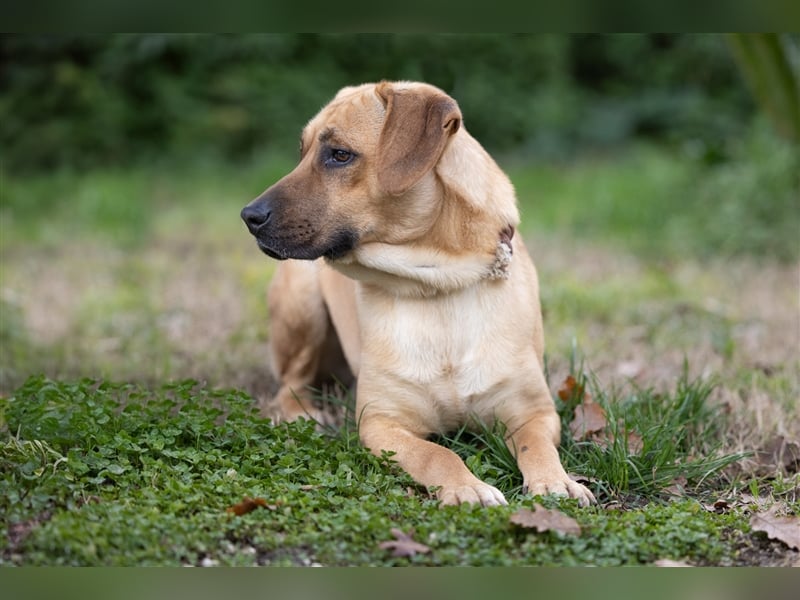 Diego