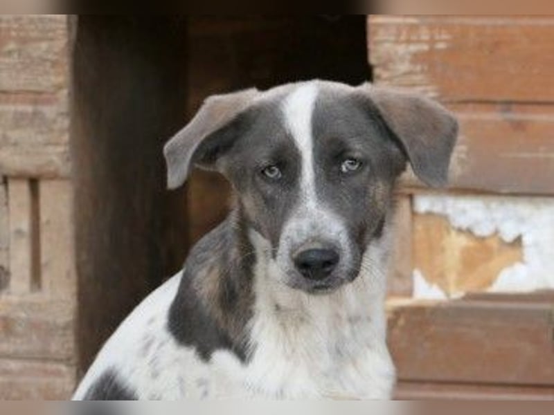 Schüchterner Farley sucht seine Familie