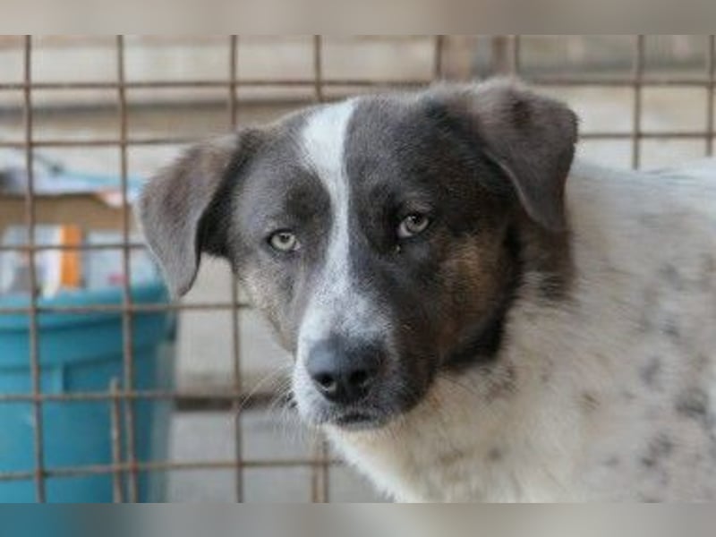 Schüchterner Farley sucht seine Familie