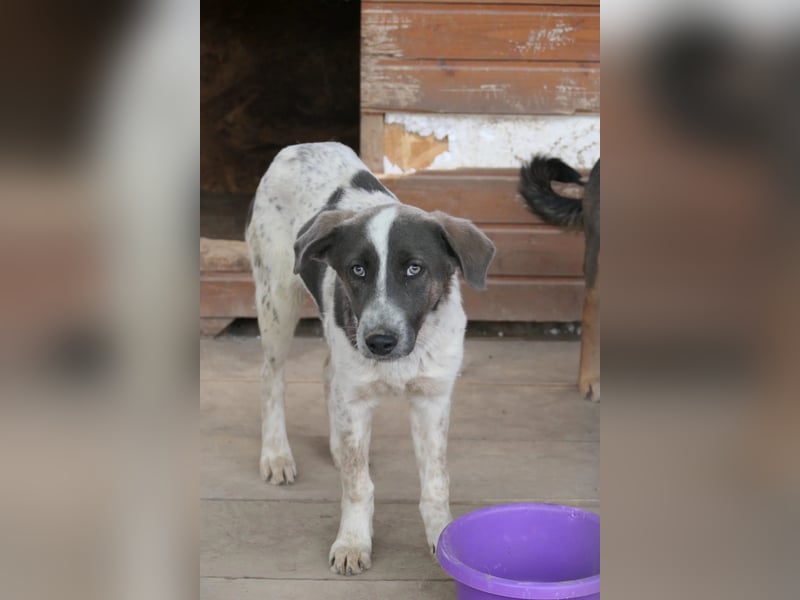 Farley sucht seine Menschen
