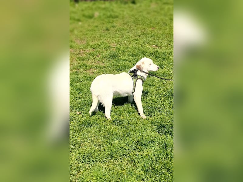 Danny ein liebes Kerlchen