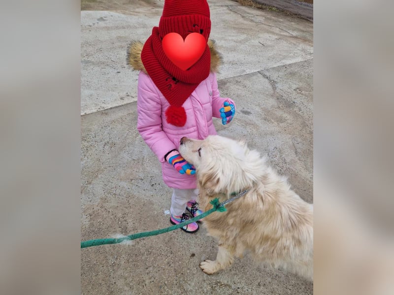 Anghel, sucht einen Gnadenplatz