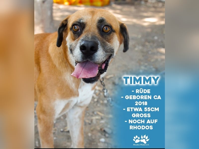 Timmy sucht sein zu Hause!❤️