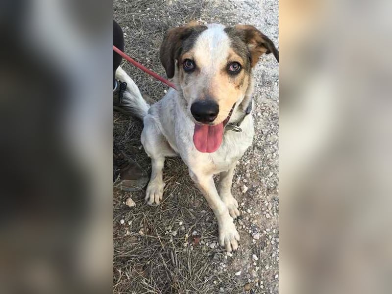 TOBITO- freundlicher, liebevoller Bub sucht Plätzchen