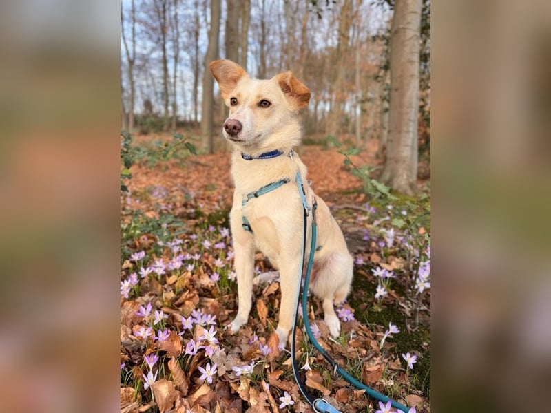Monty sucht seine Menschen