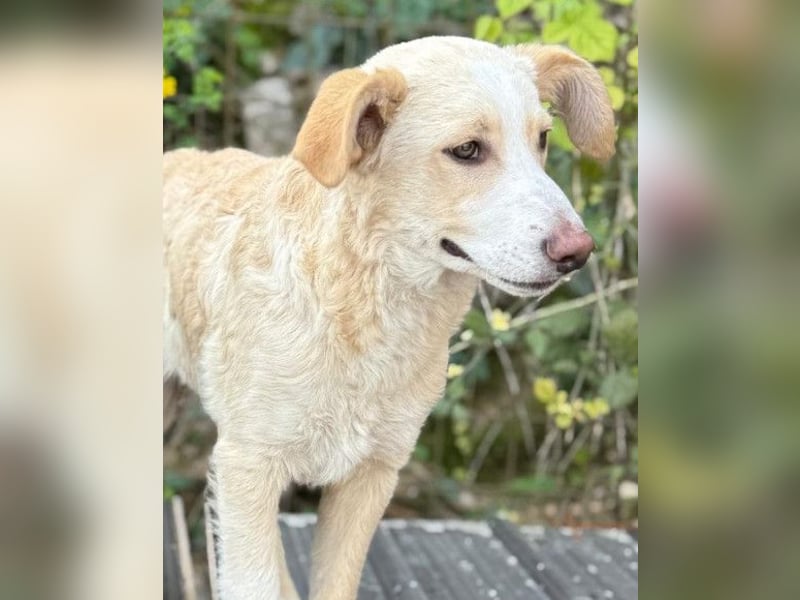 Matti ❤️ hübscher, aufgeschlossener Bub!