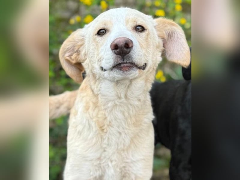 Matti ❤️ hübscher, aufgeschlossener Bub!