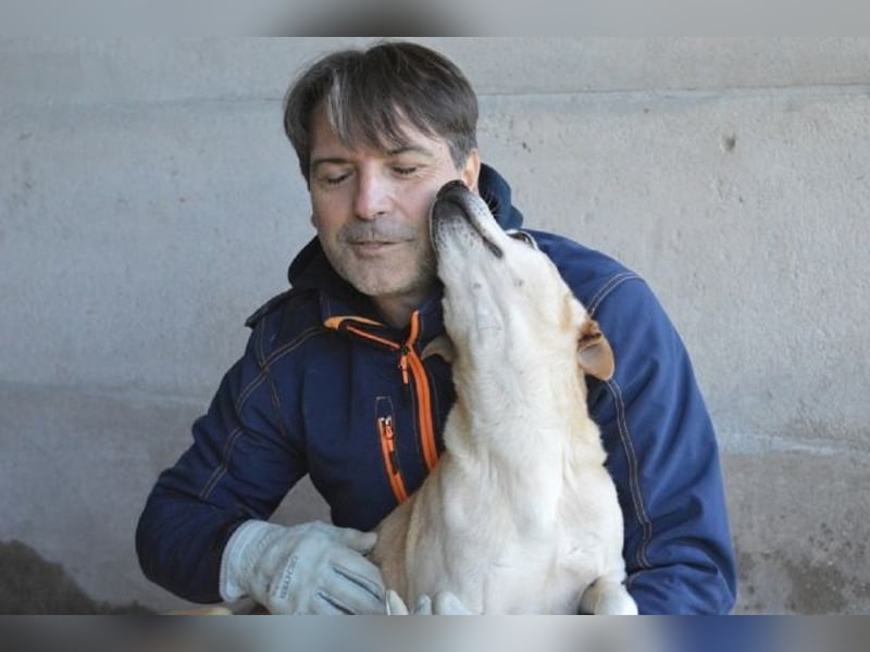 Jimmy - Treuer Gefährte sucht seine Menschen