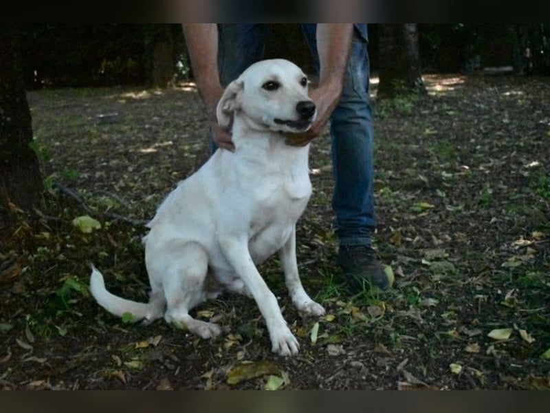Hughie- sucht einen Freund für's Leben
