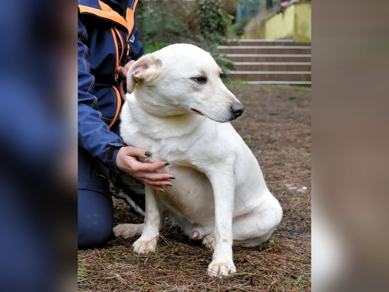 Hughie- sucht einen Freund für's Leben