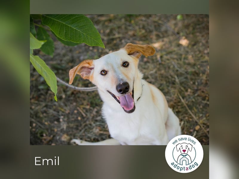 Emil: freundlich, verspielt, anhänglich